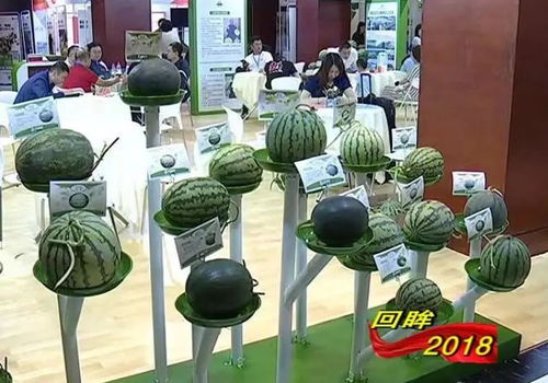 系列報道之三 堅(jiān)持強(qiáng)農(nóng)惠農(nóng) 鄉(xiāng)村振興邁出堅(jiān)實(shí)步伐