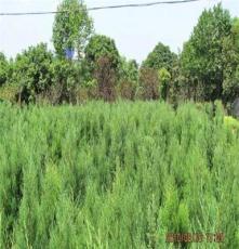 長沙網(wǎng)度信息科技