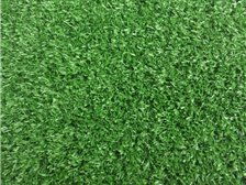 郴州市蘇仙區湘綠草皮苗木基地產品展示